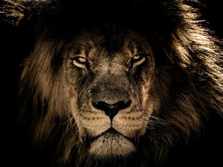 ৫. সিংহরাশি: