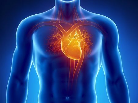 ১১. হার্টের ক্ষমতার উন্নতি ঘটে: