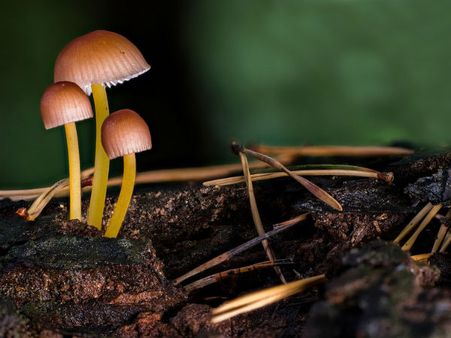 ২. শরীর এবং ত্বকের বয়স কমে: