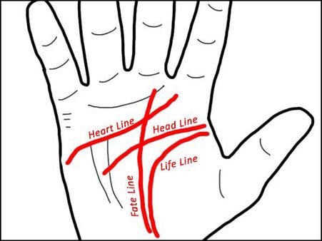 ৩. টর্টয়েজ সাইন: