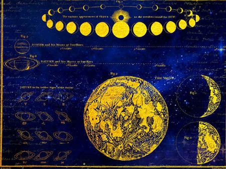 ৩. তৃতীয় বা থার্ড হাউজ: