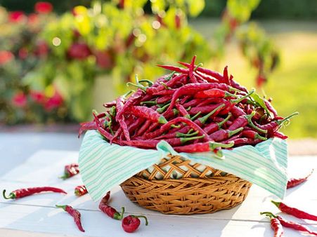 ৪. লাল লঙ্কা: