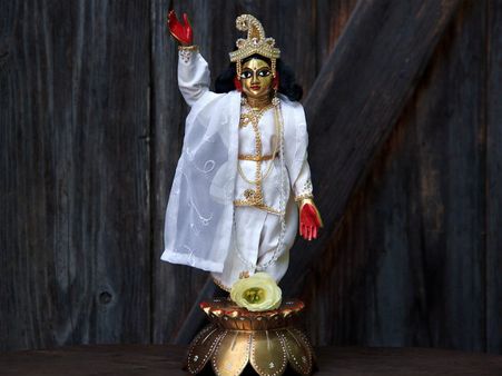 জন্মাষ্টমীর দিন উপোস করার নিয়ম: