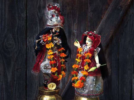 ৭. যে কোনও সমস্য়া মিটে যাবে: