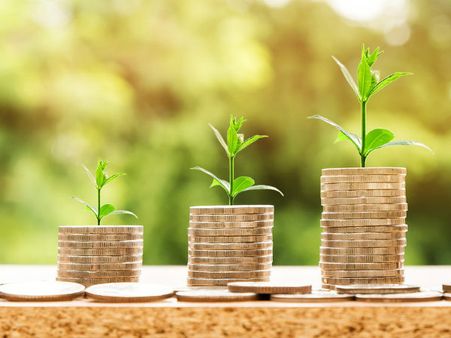 ১. লোহার মাছ এবং কচ্ছপ: