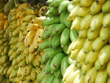 ৮. পটাশিয়ামের চাহিদা মেটে: