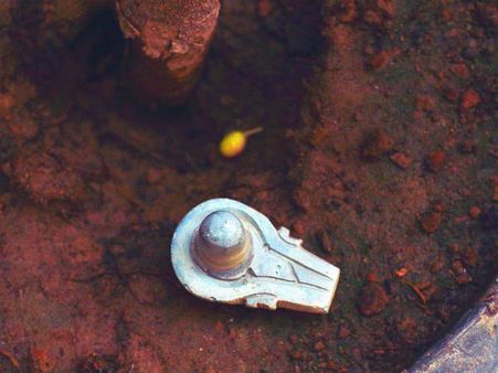 ৮. কর্মক্ষেত্রে চরম সফলতার স্বাদ মেলে: