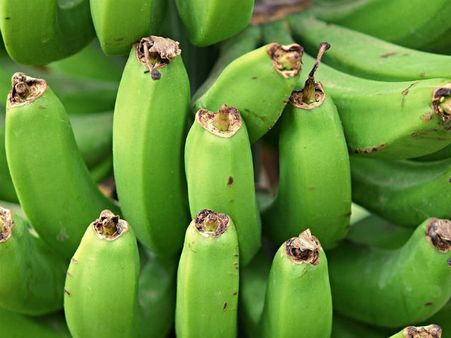 ৯. পুষ্টির ঘাটতি দূর হয়: