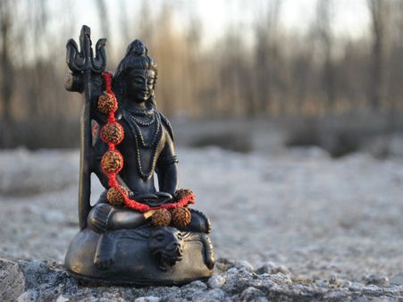 ৪. আকন্দ ফুল: