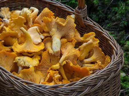 ৯. ডায়াবেটিসের মতো মারণ রোগ দূরে থাকে: