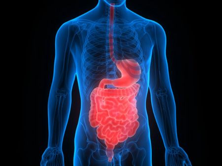 ২. পেপটিক আলসারের মতো রোগ দূরে থাকে: