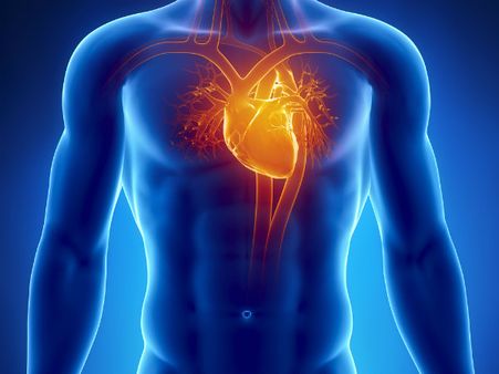 ১. হার্টের ক্ষমতা বাড়ে: