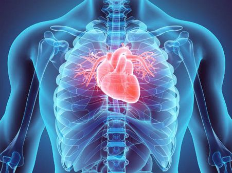 ৪. হার্টের কর্মক্ষমতা বাড়ে: