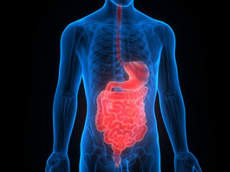 ৮. পেটের রোগের প্রকোপ কমে: