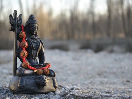 ৩. কোনও রোগ ছুঁতে পারবে না: