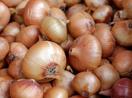 ৩. বার্ন ইনজুরির চিকিৎসায় কাজে আসে: