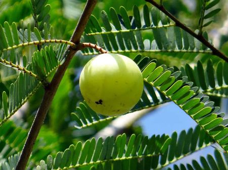 ৫. ব্যবসায় চরম উন্নতি ঘটে: