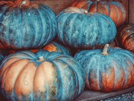 ৬. দৃষ্টিশক্তির উন্নতি ঘটে: