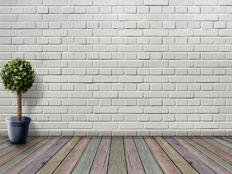 ৭. সাদা দেওয়াল: