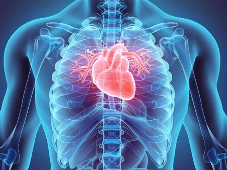 ১. হার্টের স্বাস্থ্য়ের উন্নতি ঘটে: