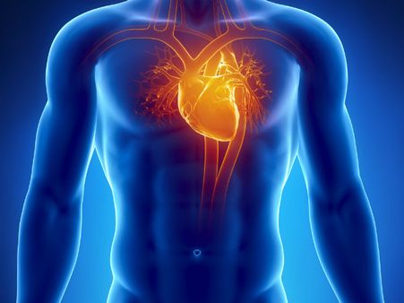 ১১. হার্টের ক্ষমতা বাড়ে: