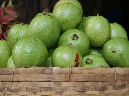 ১২. অতি বেগুনি রশ্মির প্রভাবে ক্ষতি হয় কম: