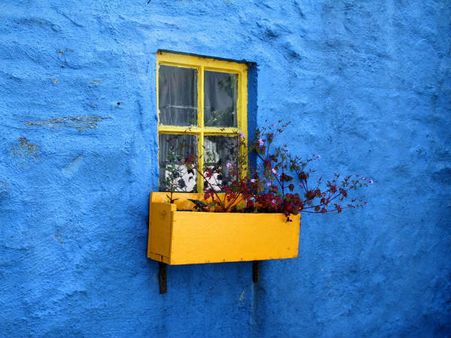 কী কী রং বাড়িতে ব্যবহার করা উচিত নয়? 