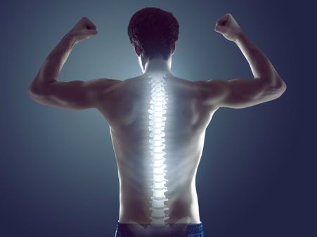 ১৩.হাড় শক্তপোক্ত হয়: