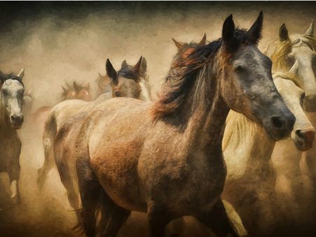 ৪. সাতটা ঘোড়া: