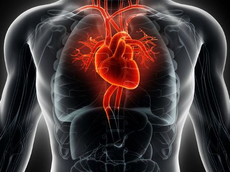 ৫. হার্টের ক্ষমতা বাড়ে চোখে পরার মতো: