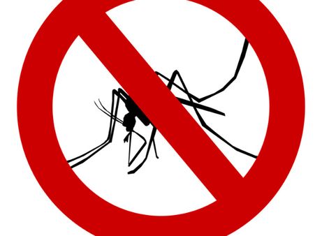 তাহেল কী দাঁড়ালো? 