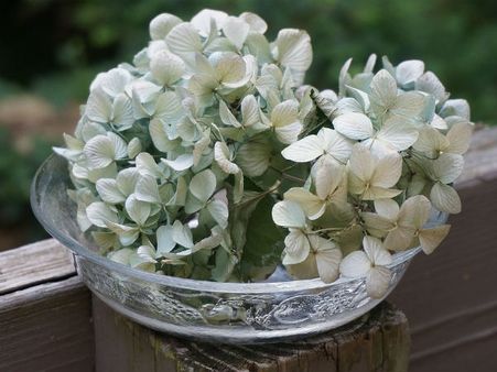 ৬. কাঁচের পাত্র: