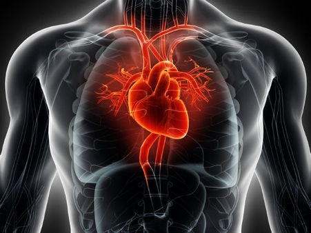 ৭. হার্টের ক্ষমতা বৃদ্ধি পায়: