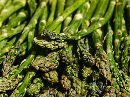 ৮. শতমূলী: