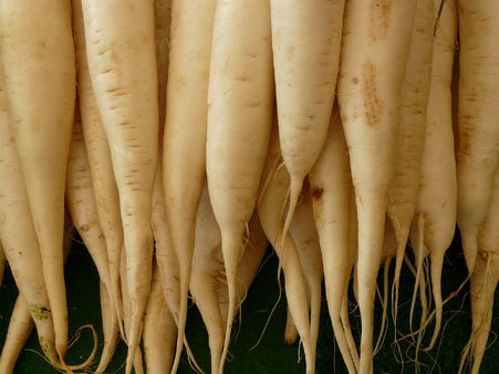 ৯. অ্যাস্থেমার চিকিৎসায় কাজে: