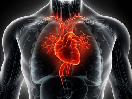 ৯. হার্টের ক্ষমতা বৃদ্ধি পায়: