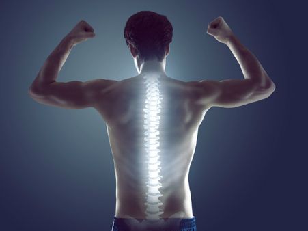 ৬.হাড় শক্তপোক্ত হয়: