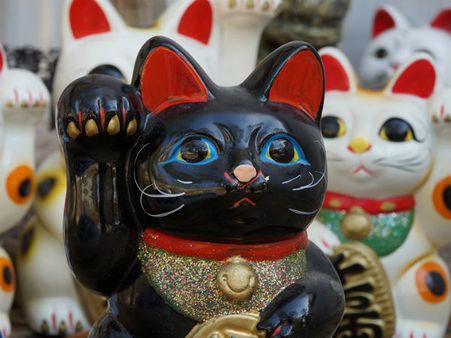 ২. ফেংশুই বিড়াল: