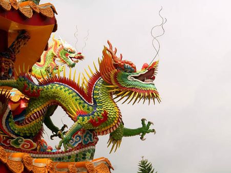 ৩. চাইনিজ ড্রাগন: