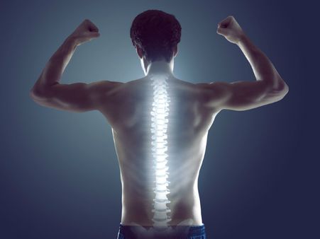 ১২. হাড় শক্তপোক্ত হয়ে ওঠে: