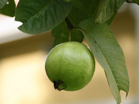 ২. কিডনির ক্ষমতা বাড়ে: