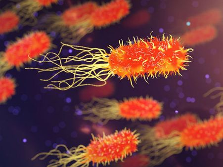 ৪. রোগ-জীবাণুর আক্রমণের হাত থেকে রক্ষা মেলে: