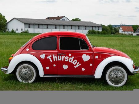 ৪. ধনু এবং মীনরাশি: