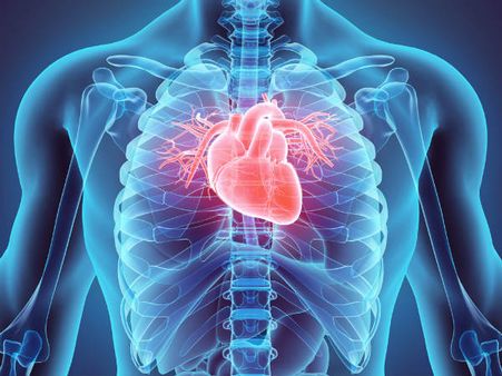 ৫. হার্টের ক্ষমতা বৃদ্ধি পায়: