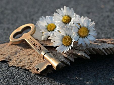 ৫. স্বপ্ন এবং বাস্তব জীবন: