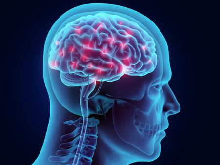 ৮. মস্তিষ্কের ক্ষমতা কমে যেতে শুরু করে: