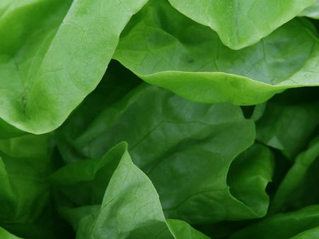 ৯. টাইপ-২ ডায়াবেটিসে আক্রান্ত হওয়ার আশঙ্কা কমে: