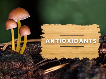 ১) শক্তিশালী অ্যান্টি-অক্সিডেন্ট রয়েছে