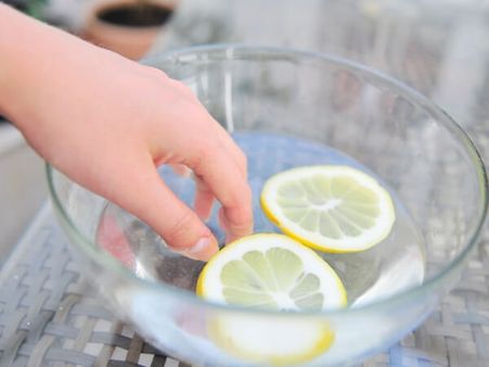 লেবুর রস