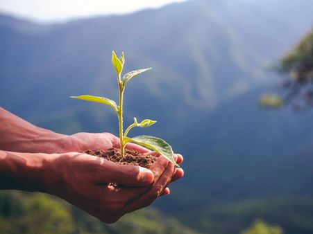 বিশ্ব পরিবেশ দিবসের ইতিহাস